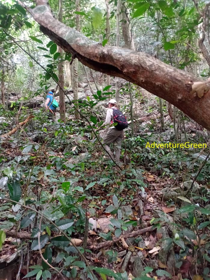 Trekking and hiking in Cuc Phuong National Park Vietnam