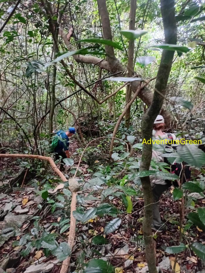 Trekking and hiking in Cuc Phuong National Park Vietnam
