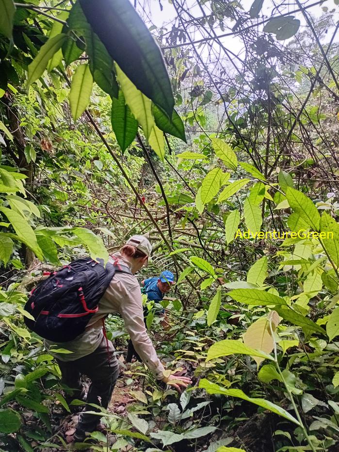 Trekking and hiking in Cuc Phuong National Park Vietnam