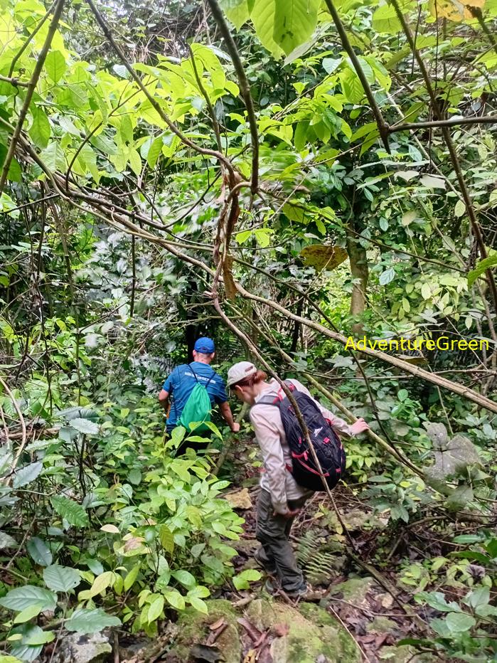 Trekking and hiking in Cuc Phuong National Park Vietnam
