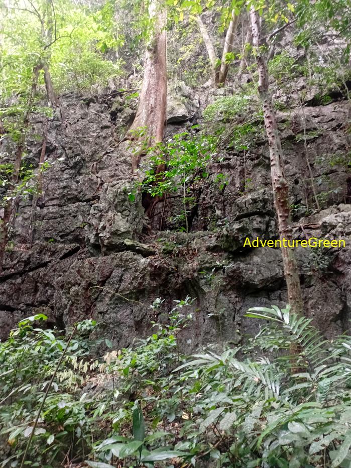 Trekking and hiking in Cuc Phuong National Park Vietnam