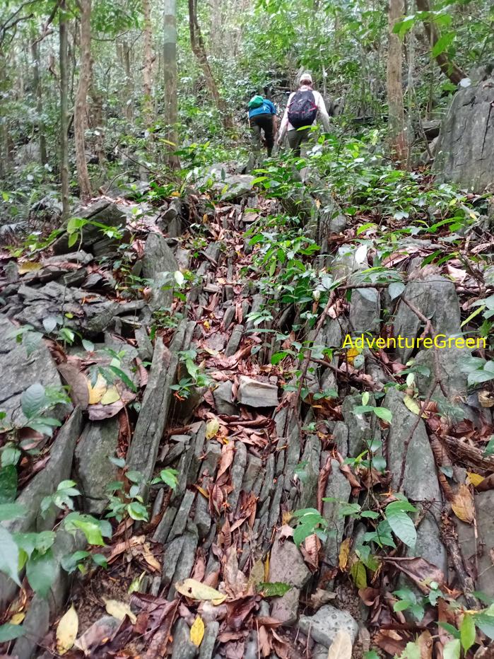 Trekking and hiking in Cuc Phuong National Park Vietnam