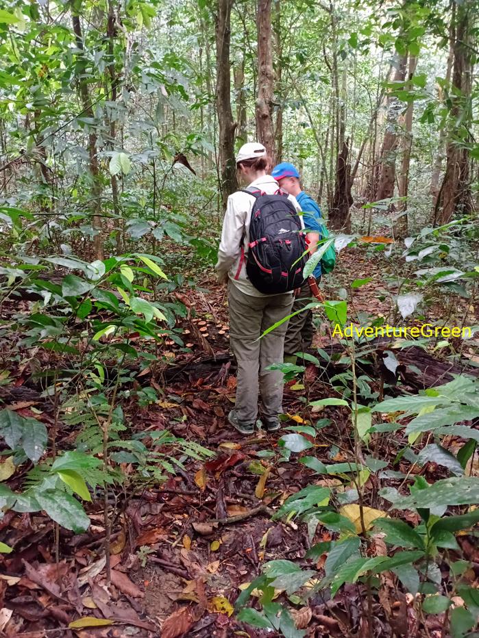 Trekking and hiking in Cuc Phuong National Park Vietnam