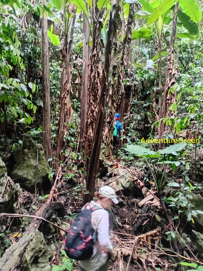 Trekking and hiking in Cuc Phuong National Park Vietnam