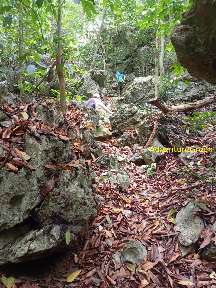 Trekking and hiking in Cuc Phuong National Park Vietnam