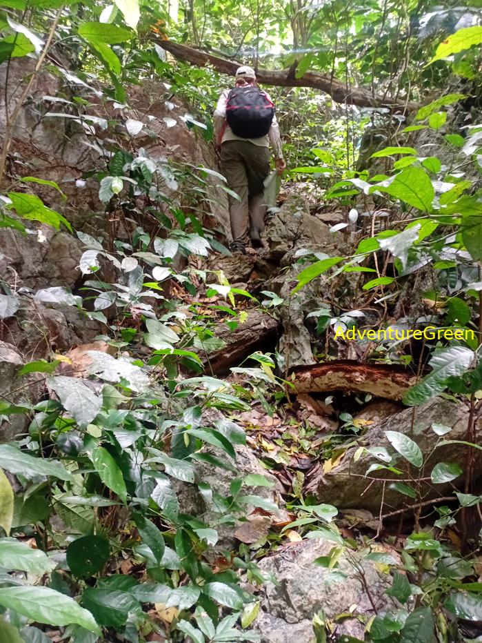 Trekking and hiking in Cuc Phuong National Park Vietnam