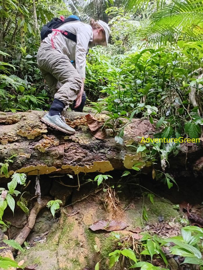 Trekking and hiking in Cuc Phuong National Park Vietnam