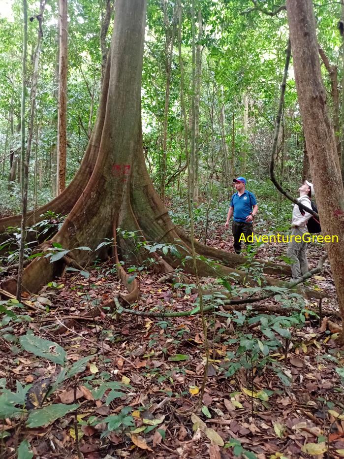 Trekking and hiking in Cuc Phuong National Park Vietnam