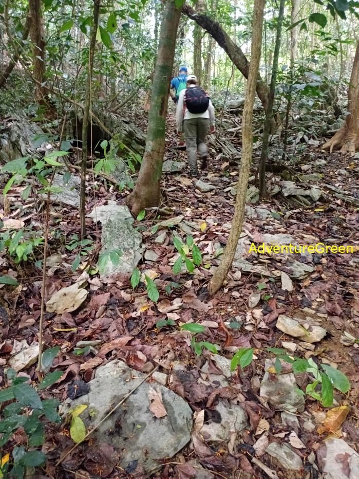 Trekking and hiking in Cuc Phuong National Park Vietnam