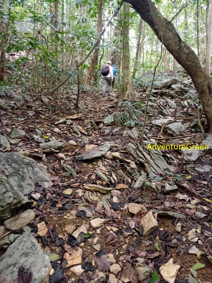 Trekking and hiking in Cuc Phuong National Park Vietnam