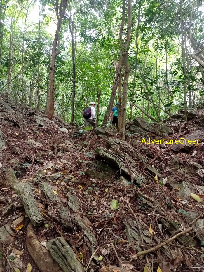 Trekking and hiking in Cuc Phuong National Park Vietnam