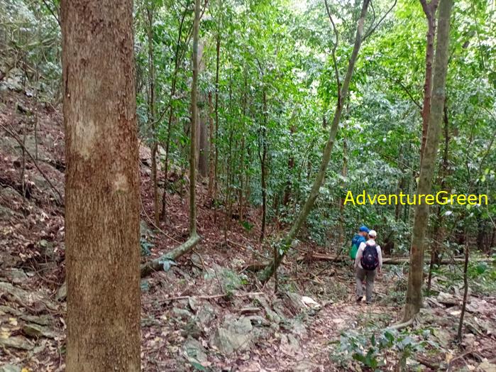 Trekking and hiking in Cuc Phuong National Park Vietnam