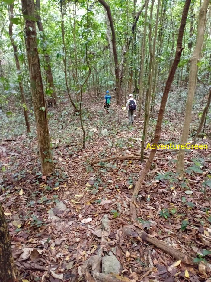 Trekking and hiking in Cuc Phuong National Park Vietnam
