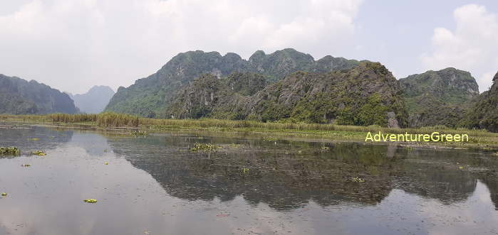 Van Long Nature Reserve is a great place to watching birds in Ninh Binh Vietnam