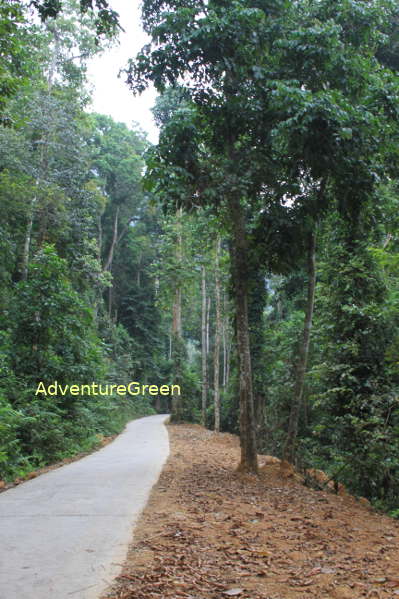 Forest path at the Xuan Son National Park