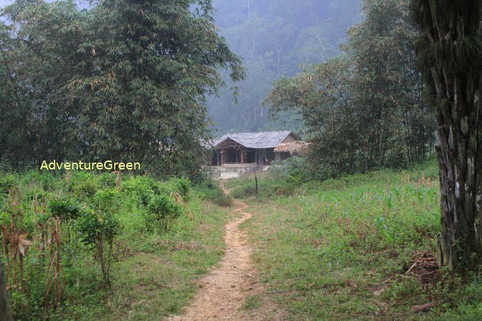 Peaceful nature of the Xuan Son National Park