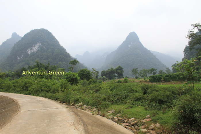 Landscape at the Xuan Son National Park