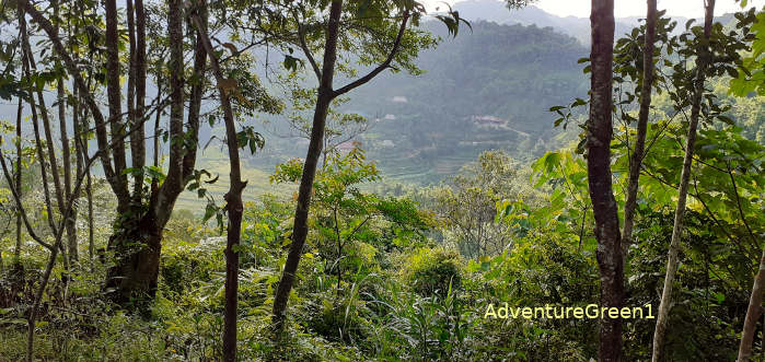 A view of the Ba Village at Pu Luong from above