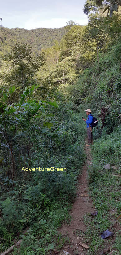 A hiking trail on the hedge of the primeval forest of the Pu Luong Nature Reserve