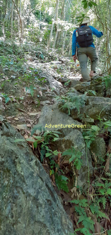 Part of the steep ascent on the last trekking day at the Pu Luong Nature Reserve