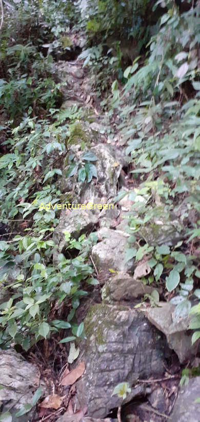 A steep, slippery and rocky path on a trek in Vietnam which requires at least head protection and knee protection