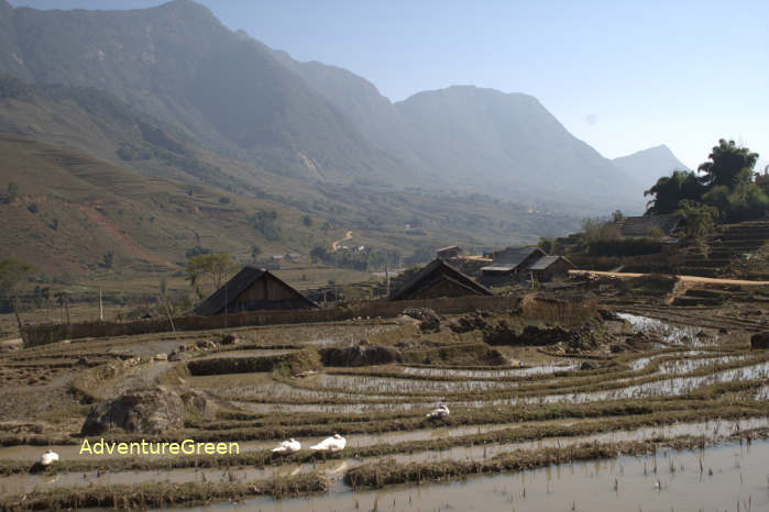 Footpath amid the heavenly landscape of the Muong Hoa Valley in Sapa Vietnam
