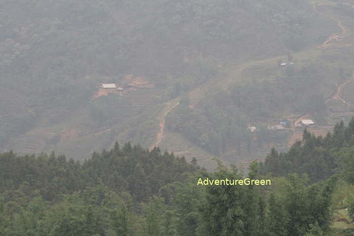 Forest and mountains at the Seo Trung Ho Village in Sapa Vietnam