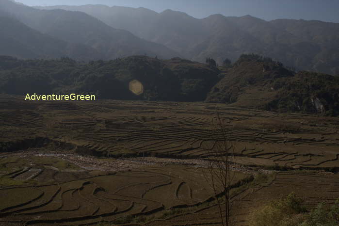 Dry rice terraces at the Thanh Phu Villge (Tay) in Sapa Vietnam