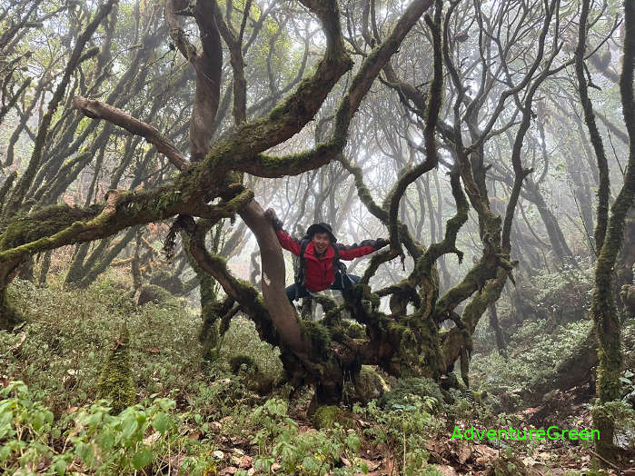 Sa Mu Mountain in Hang Dong, Bac Yen, Son La