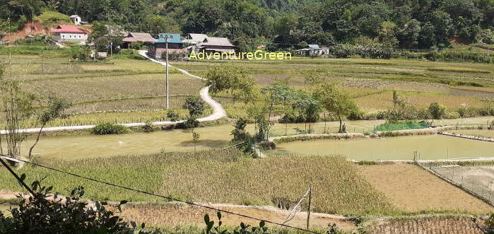 The river and paddy fields in front of our homestay at Nua Village