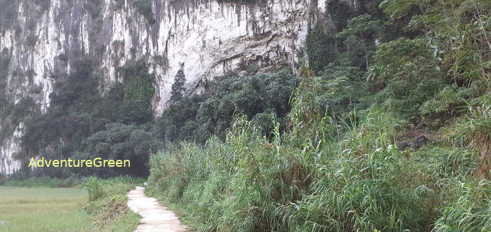 The Bat Cave at Kho Muong Village