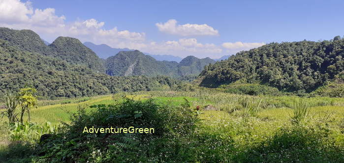 A captivating mountain view on Day2 of our trek