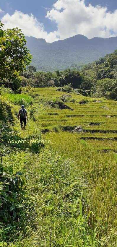 A view of rice terraces and mountains on our trek today