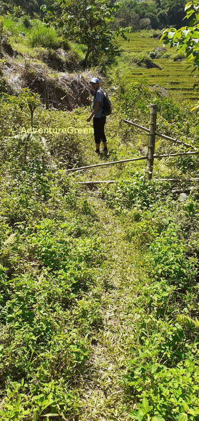 A trail that we trek on today with views of mountains, forest