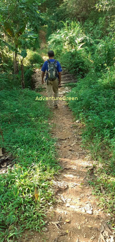 A trail amid a forest at the Pu Luong Nature Reserve