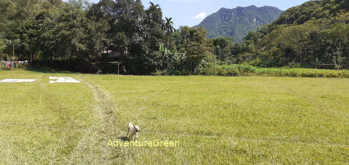 A lovely lawn where we may want to have picnic lunch at