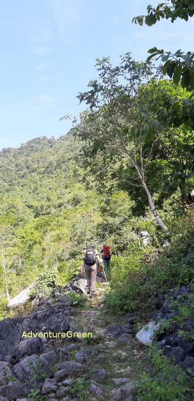 Trekking through the primeval forest of the Pu Luong Nature Reserve