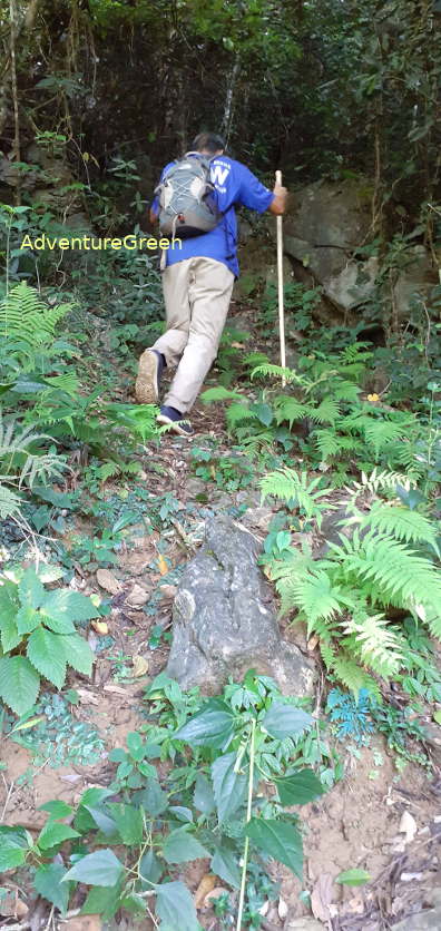 A steep path on a forested rocky mountain at Pu Luong