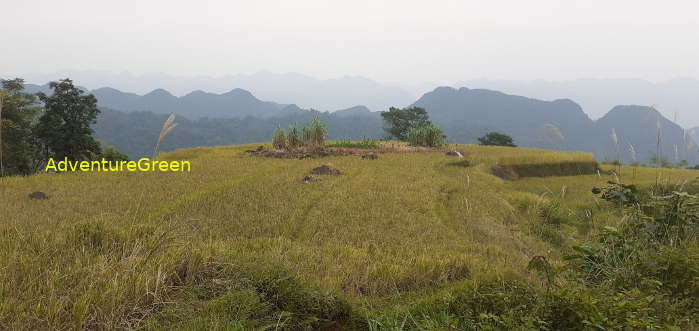 A breathtaking view from the base of Mount Pu Luong A breathtaking view from the base of Mount Pu Luong