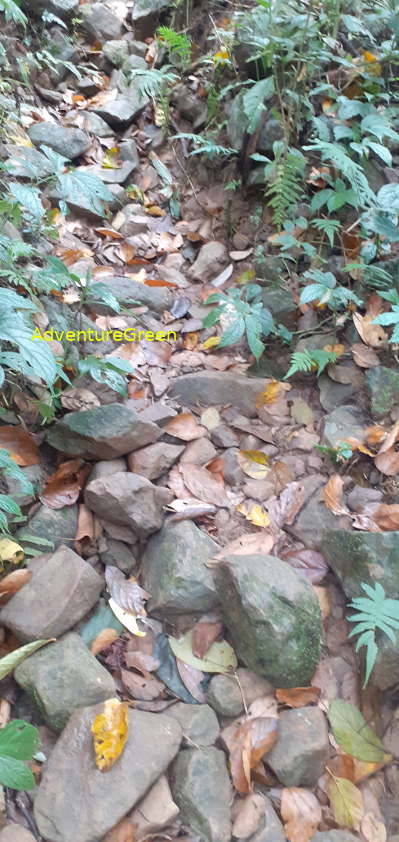 A rocky hiking path on Mountain of Pu Luong A rocky hiking path on Mountain of Pu Luong