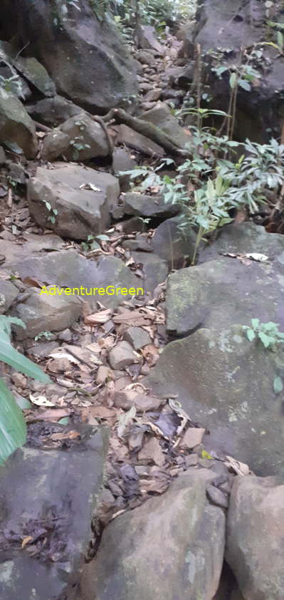 A rocky trekking path on the Mountain of Pu Luong A rocky trekking path on the Mountain of Pu Luong