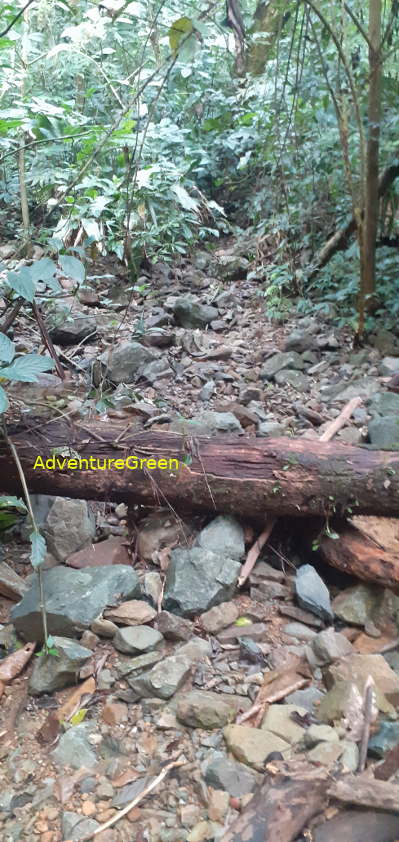 A rocky trail on Mountain of Pu Luong A rocky trail on Mountain of Pu Luong