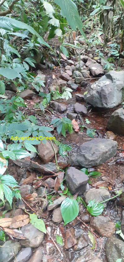 A rocky hiking path with running water on the Pu Luong Mountain A rocky hiking path with running water on the Pu Luong Mountain
