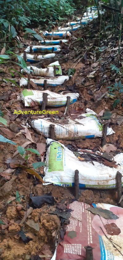 A steep hiking path paved with sandbags on the Pu Luong Mountain A steep hiking path paved with sandbags on the Pu Luong Mountain