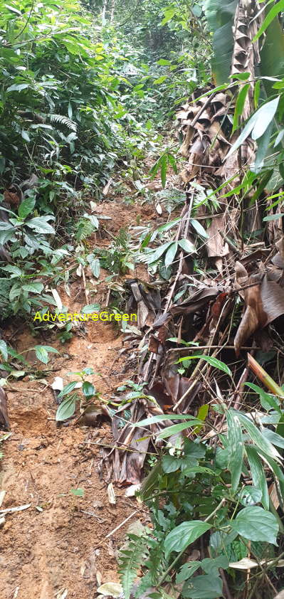 A steep and slippery dirt path on the Pu Luong Mountain A steep and slippery dirt path on the Pu Luong Mountain
