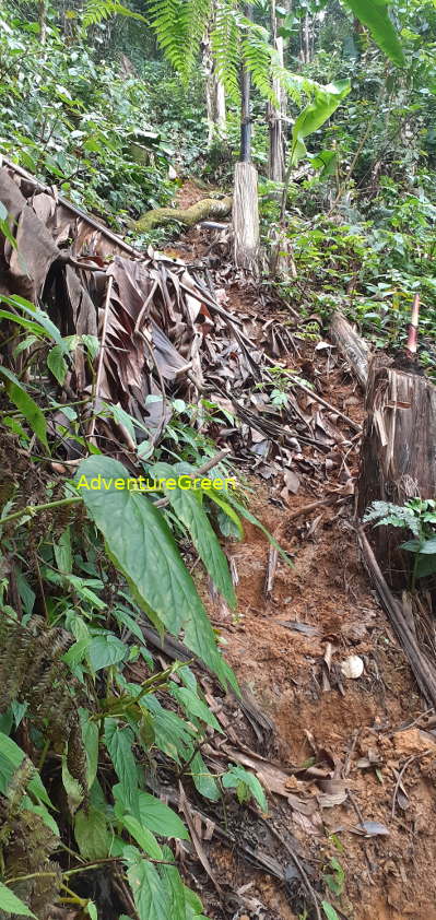 A steep and slippery dirt hiking path on the Pu Luong Mountain A steep and slippery dirt hiking path on the Pu Luong Mountain