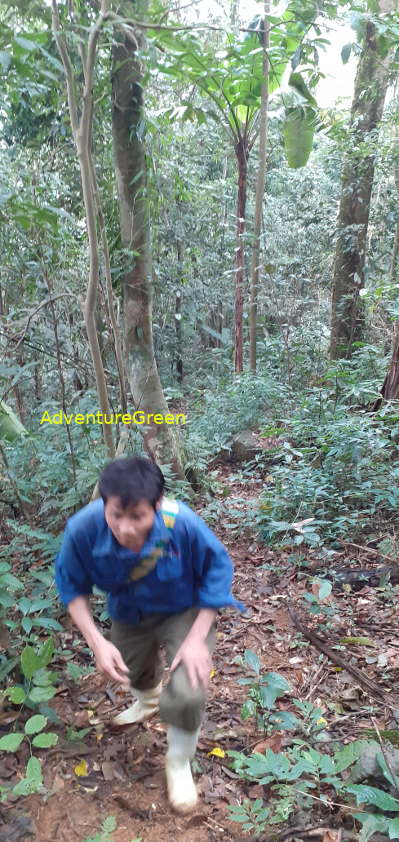 A not too difficult path amid forest on Mount Pu Luong A not too difficult path amid forest on Mount Pu Luong