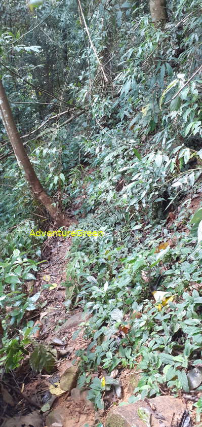 A tiny hiking rocky path on the Pu Luong Mountain A tiny hiking rocky path on the Pu Luong Mountain