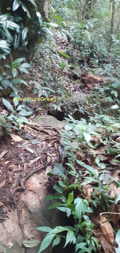 A rocky path near the peak of the Pu Luong Mountain A rocky path near the peak of the Pu Luong Mountain
