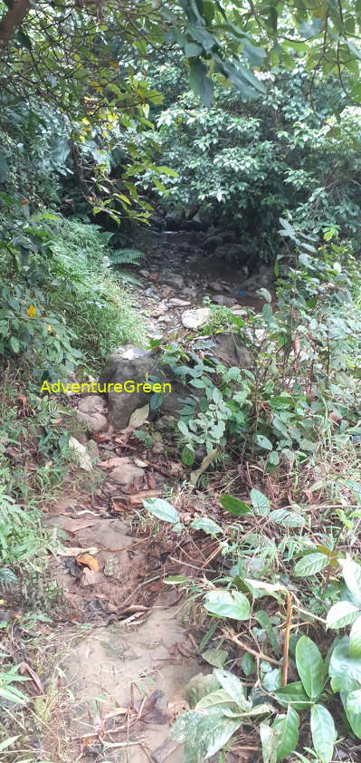 A rocky path near the base of Mount Pu Luong A rocky path near the base of Mount Pu Luong